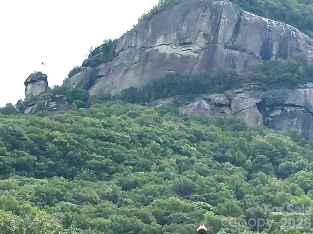 0 Poodles Way Lake Lure NC 28746