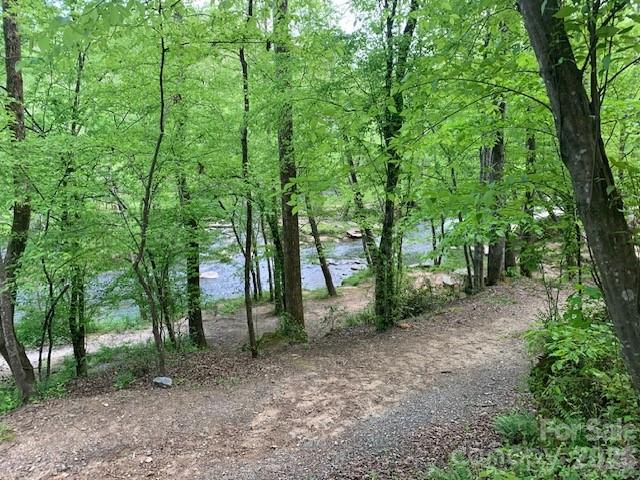 0 Poodles Way Lake Lure NC 28746