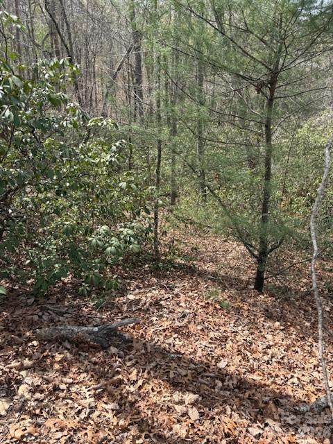 0 Poodles Way Lake Lure NC 28746