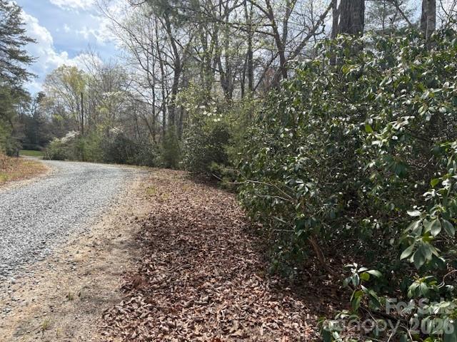 0 Poodles Way Lake Lure NC 28746