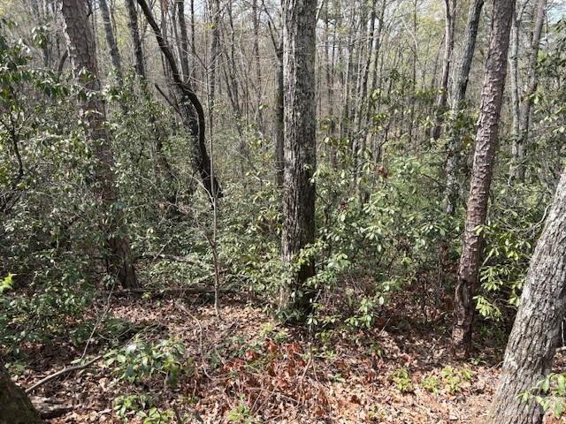 0 Poodles Way Lake Lure NC 28746