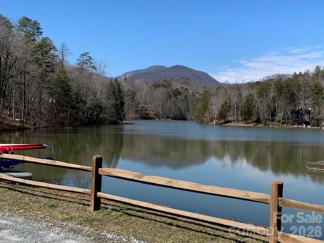 0 Poodles Way Lake Lure NC 28746