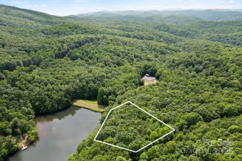 430 N Lakeview Drive Saluda NC 28773