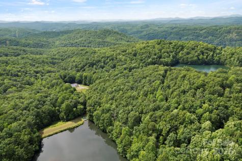 430 N Lakeview Drive Saluda NC 28773