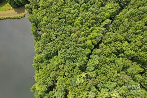 430 N Lakeview Drive Saluda NC 28773