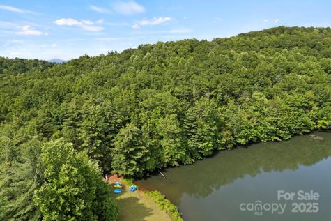 430 N Lakeview Drive Saluda NC 28773