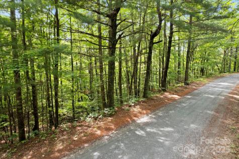 430 N Lakeview Drive Saluda NC 28773