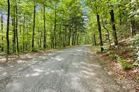 430 N Lakeview Drive Saluda NC 28773