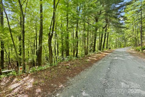 430 N Lakeview Drive Saluda NC 28773