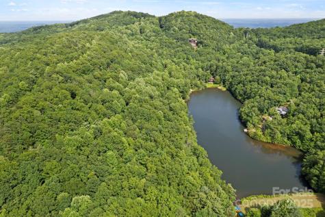 430 N Lakeview Drive Saluda NC 28773