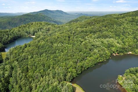 430 N Lakeview Drive Saluda NC 28773