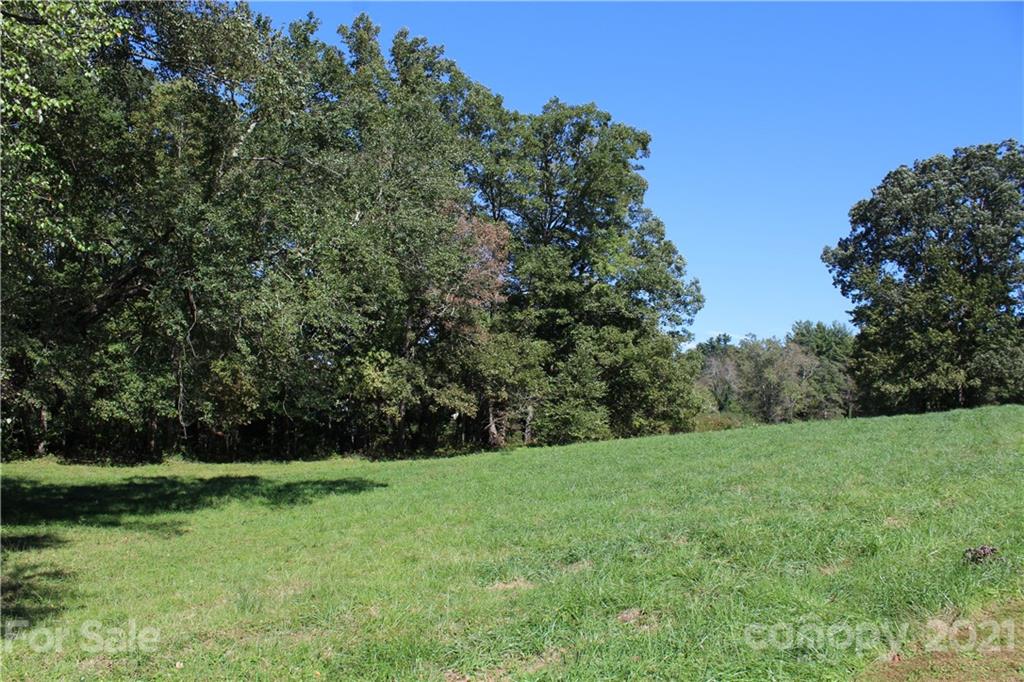 160 Almond Branch Drive Hendersonville NC 28791