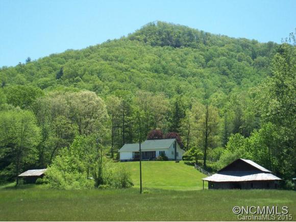 4510 Bobs Creek Road Zirconia NC 28790