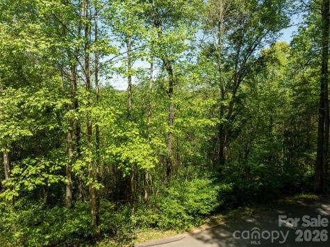 Tbd Rockwood Drive Lenoir NC 28645