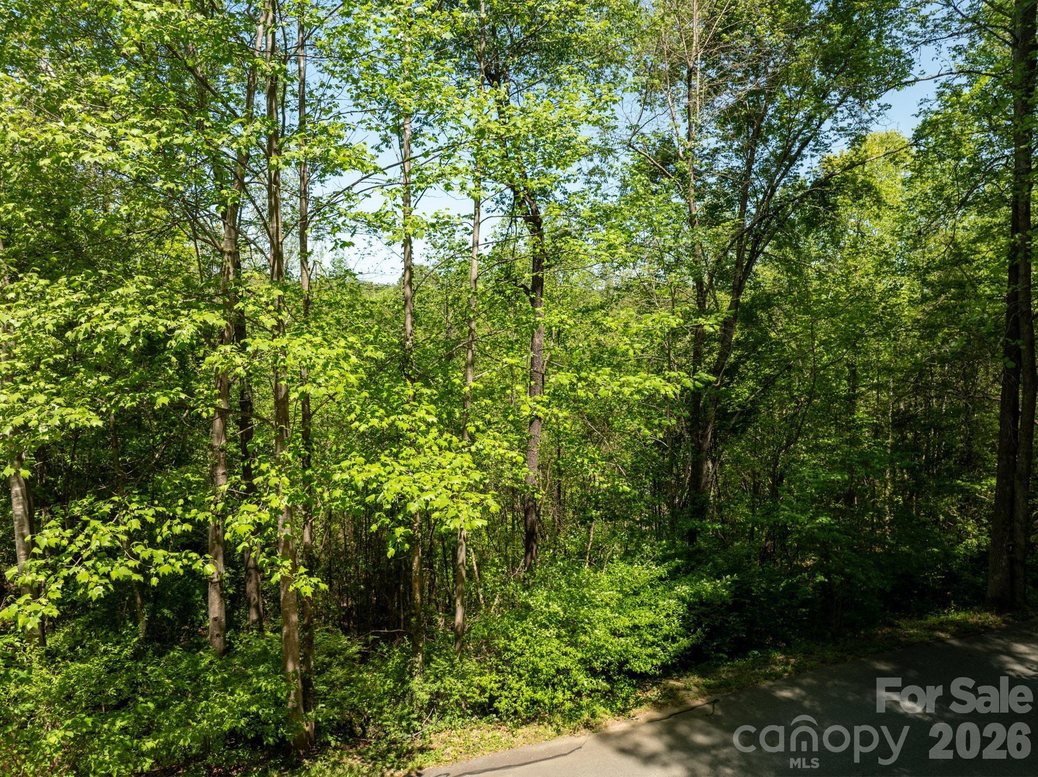 Tbd Rockwood Drive Lenoir NC 28645