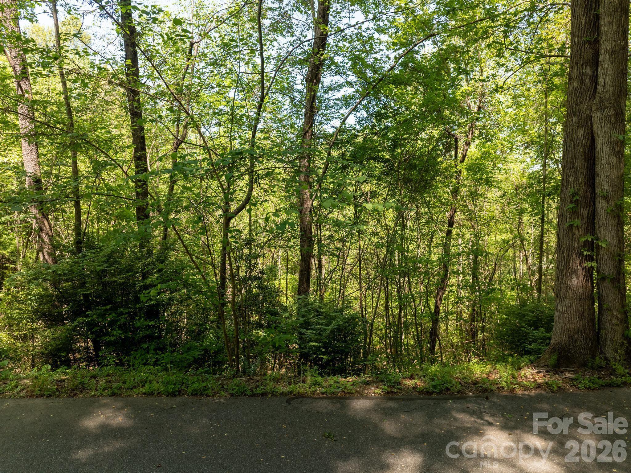 Tbd Rockwood Drive Lenoir NC 28645