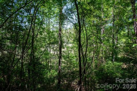 Tbd Rockwood Drive Lenoir NC 28645