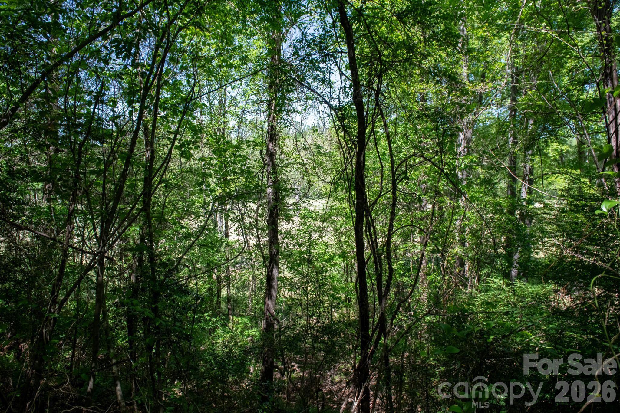 Tbd Rockwood Drive Lenoir NC 28645