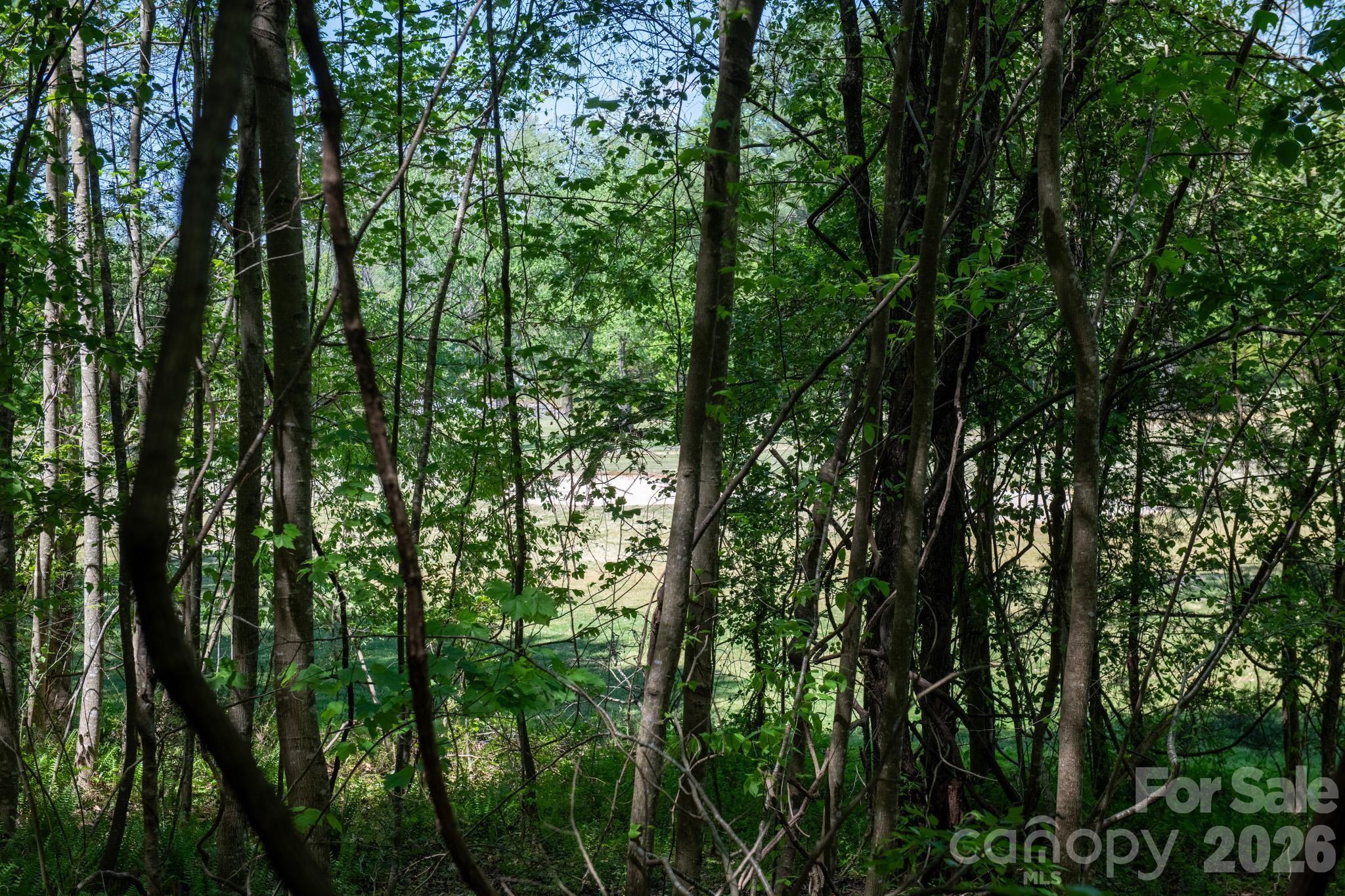 Tbd Rockwood Drive Lenoir NC 28645