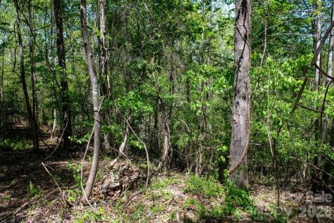Tbd Rockwood Drive Lenoir NC 28645