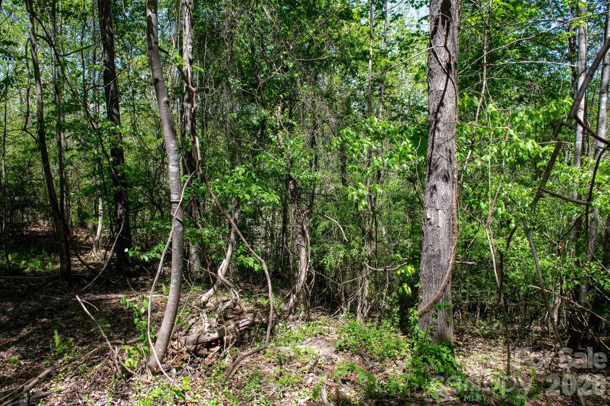 Tbd Rockwood Drive Lenoir NC 28645