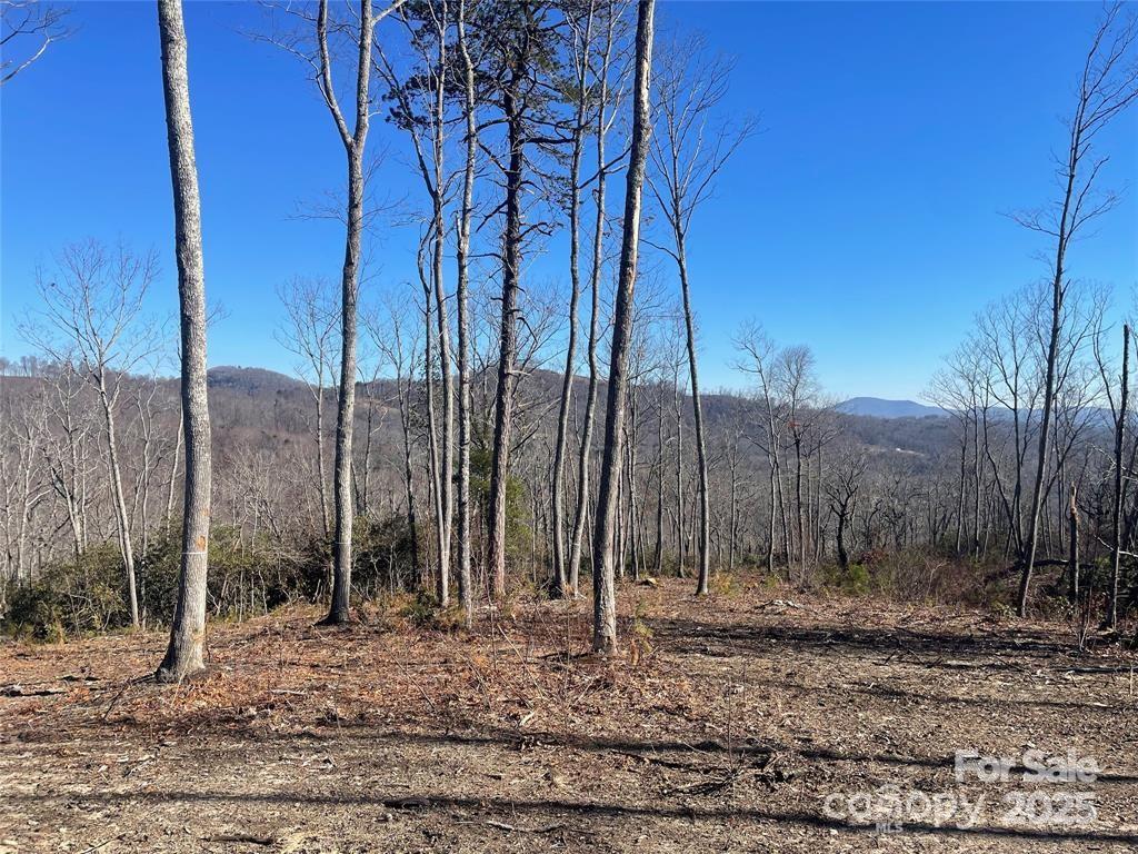 Lot 59 Mountain Grove Lane Fletcher NC 28732