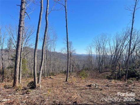 Lot 59 Mountain Grove Lane Fletcher NC 28732