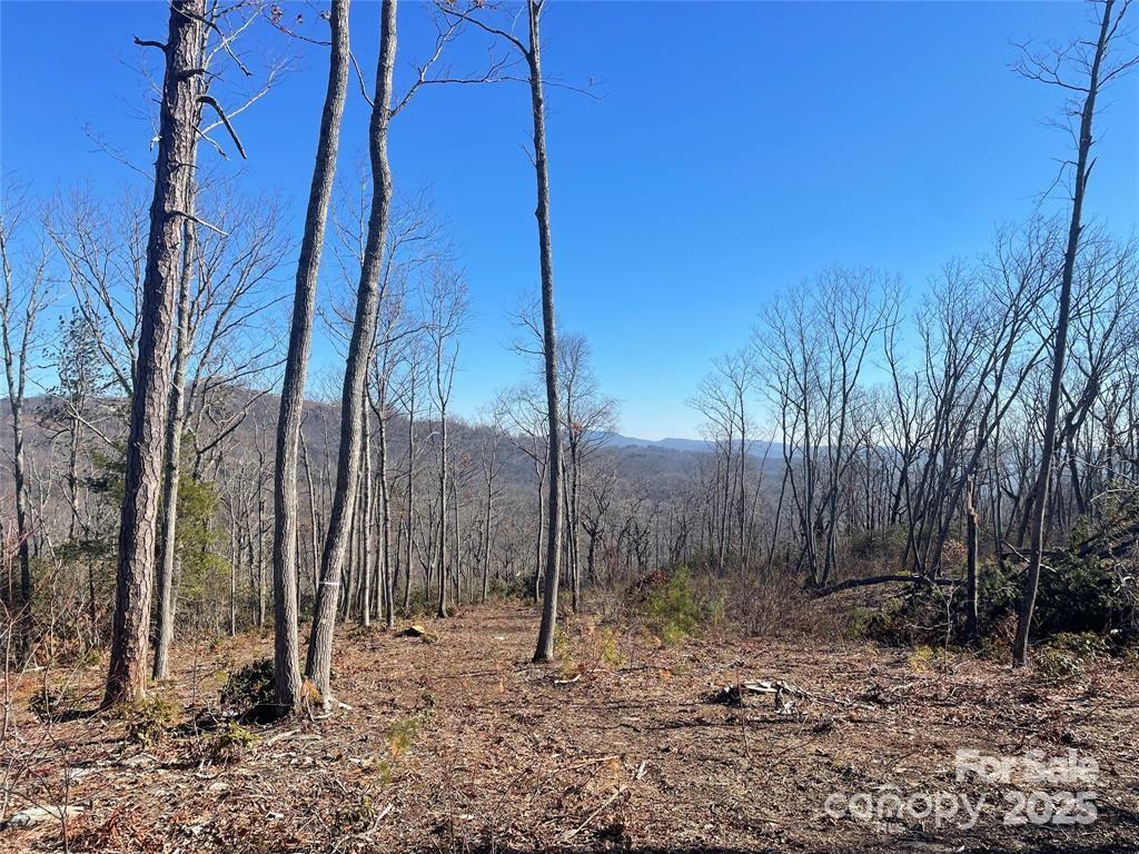 Lot 59 Mountain Grove Lane Fletcher NC 28732