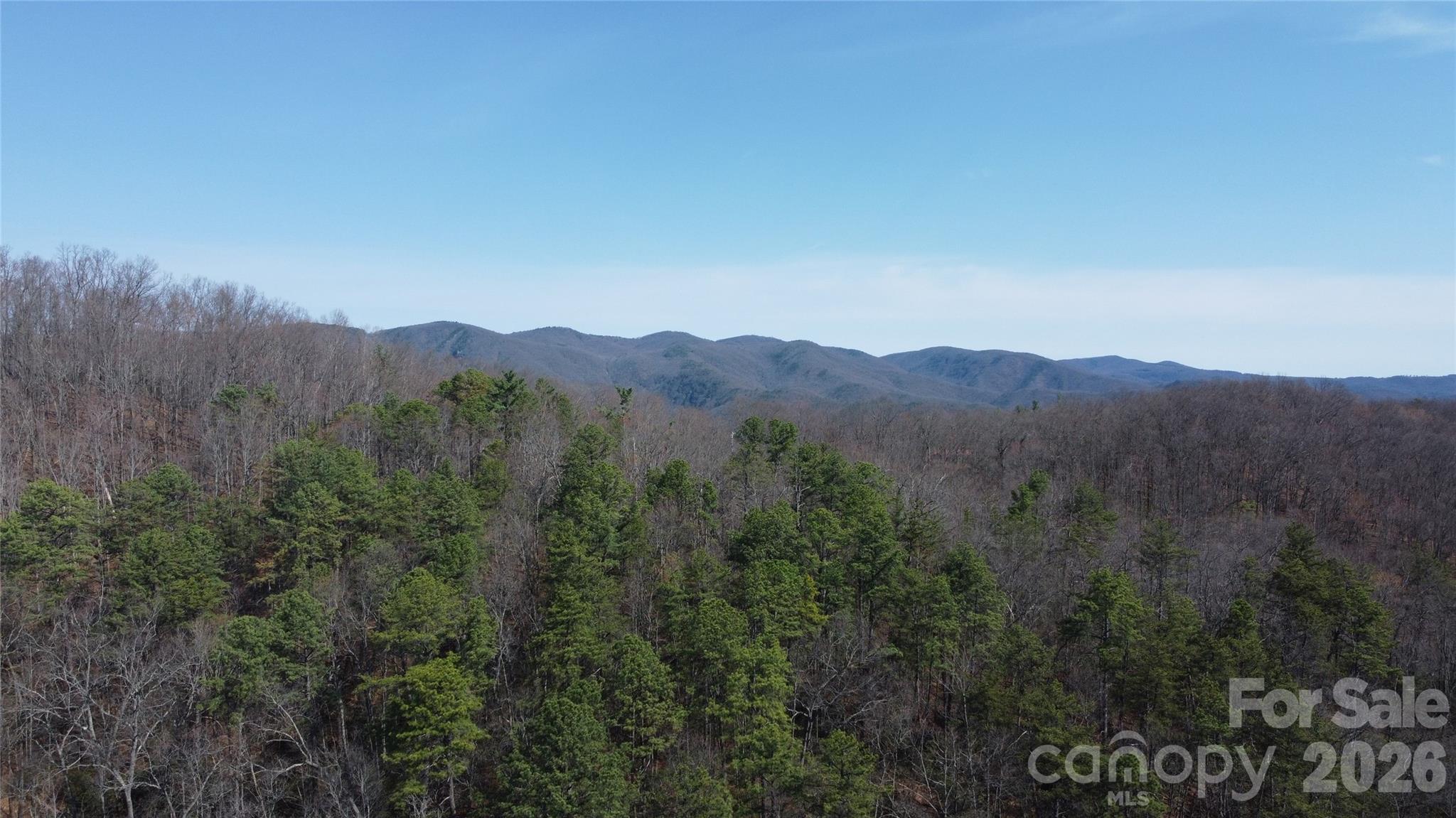 0000 Wilderness Road Hays NC 28635