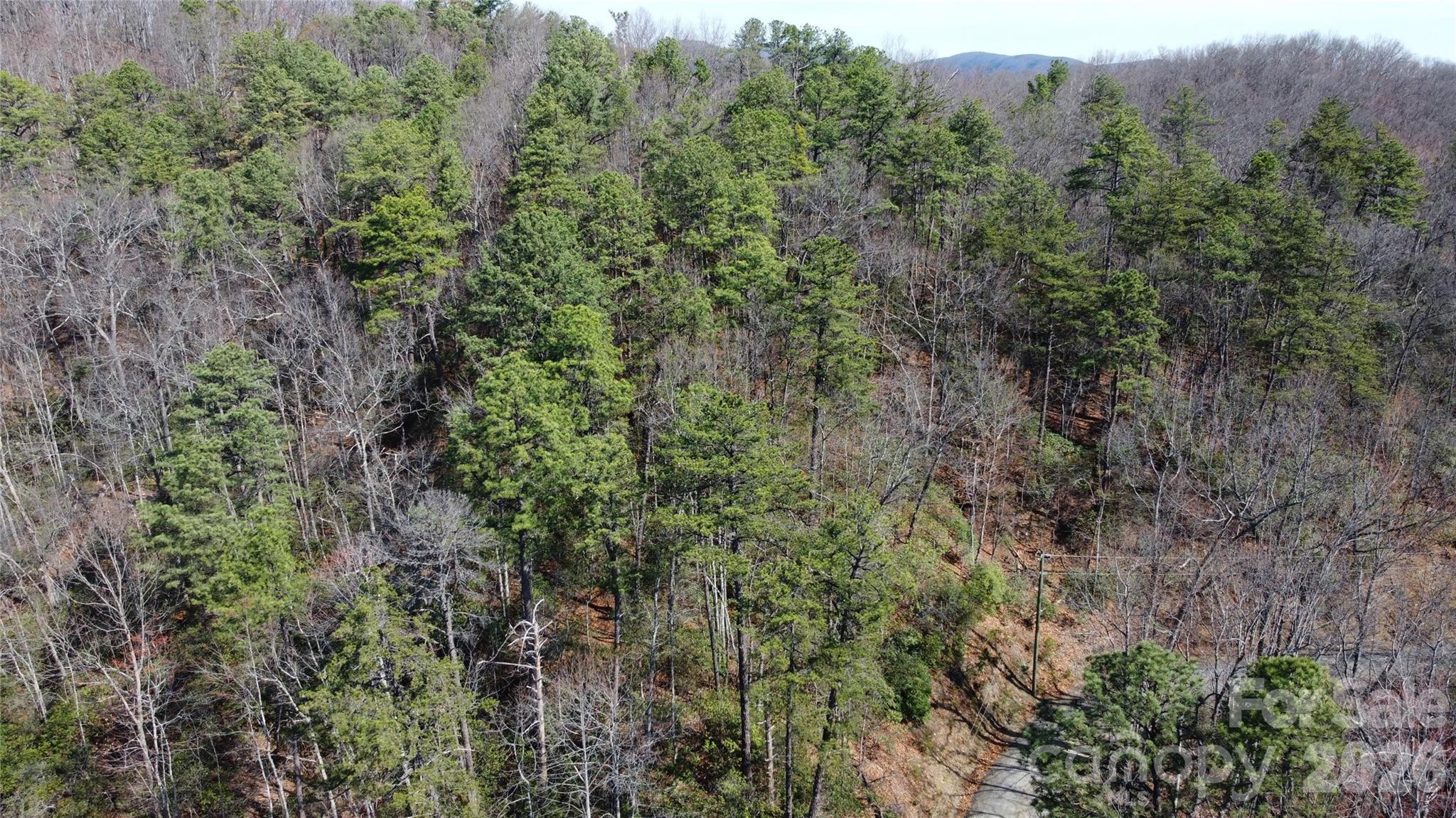 0000 Wilderness Road Hays NC 28635