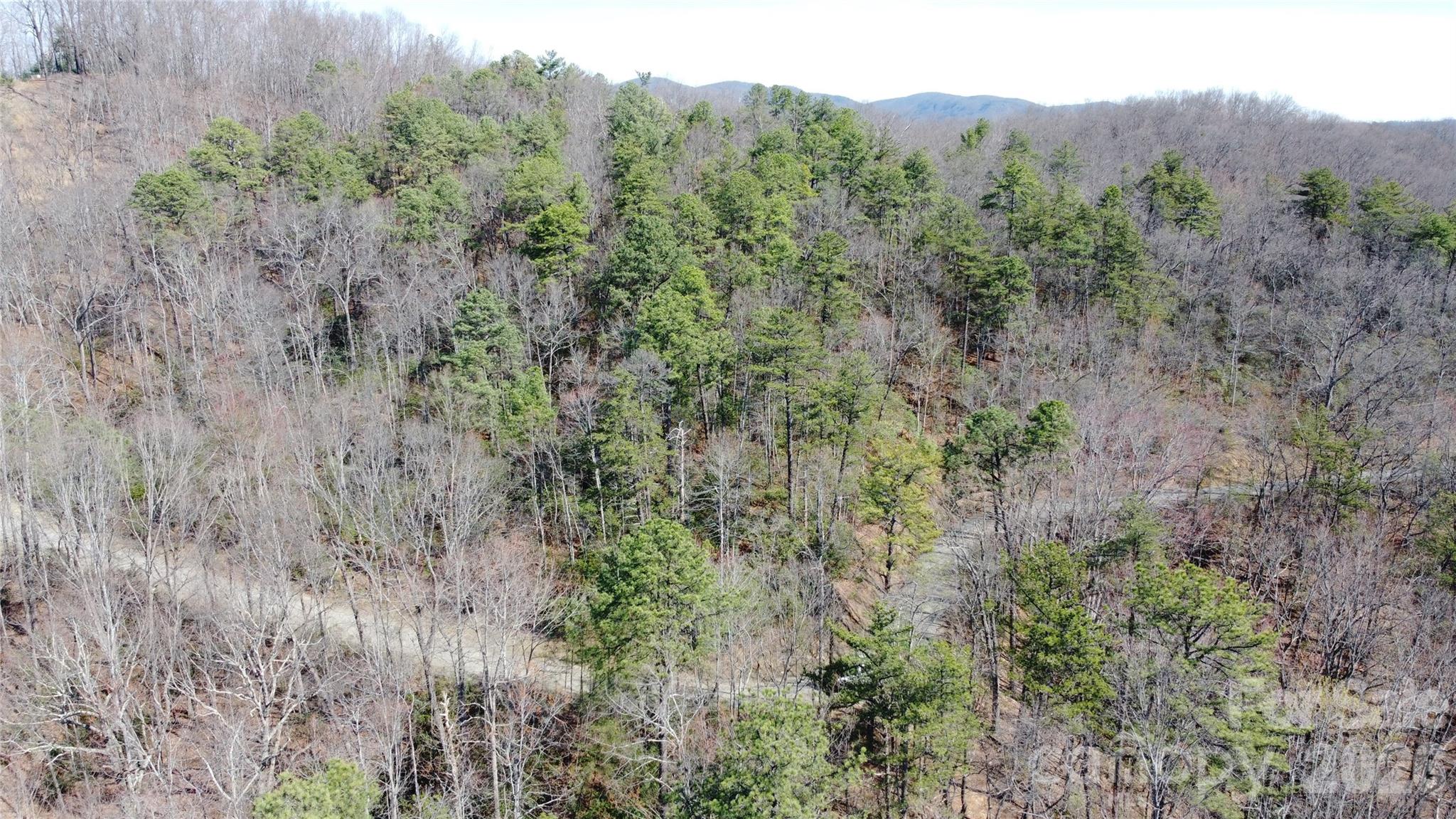 0000 Wilderness Road Hays NC 28635