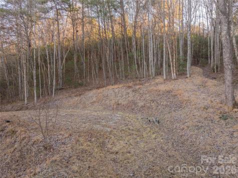 Lot 1 Mccracken Road Bryson City NC 28713