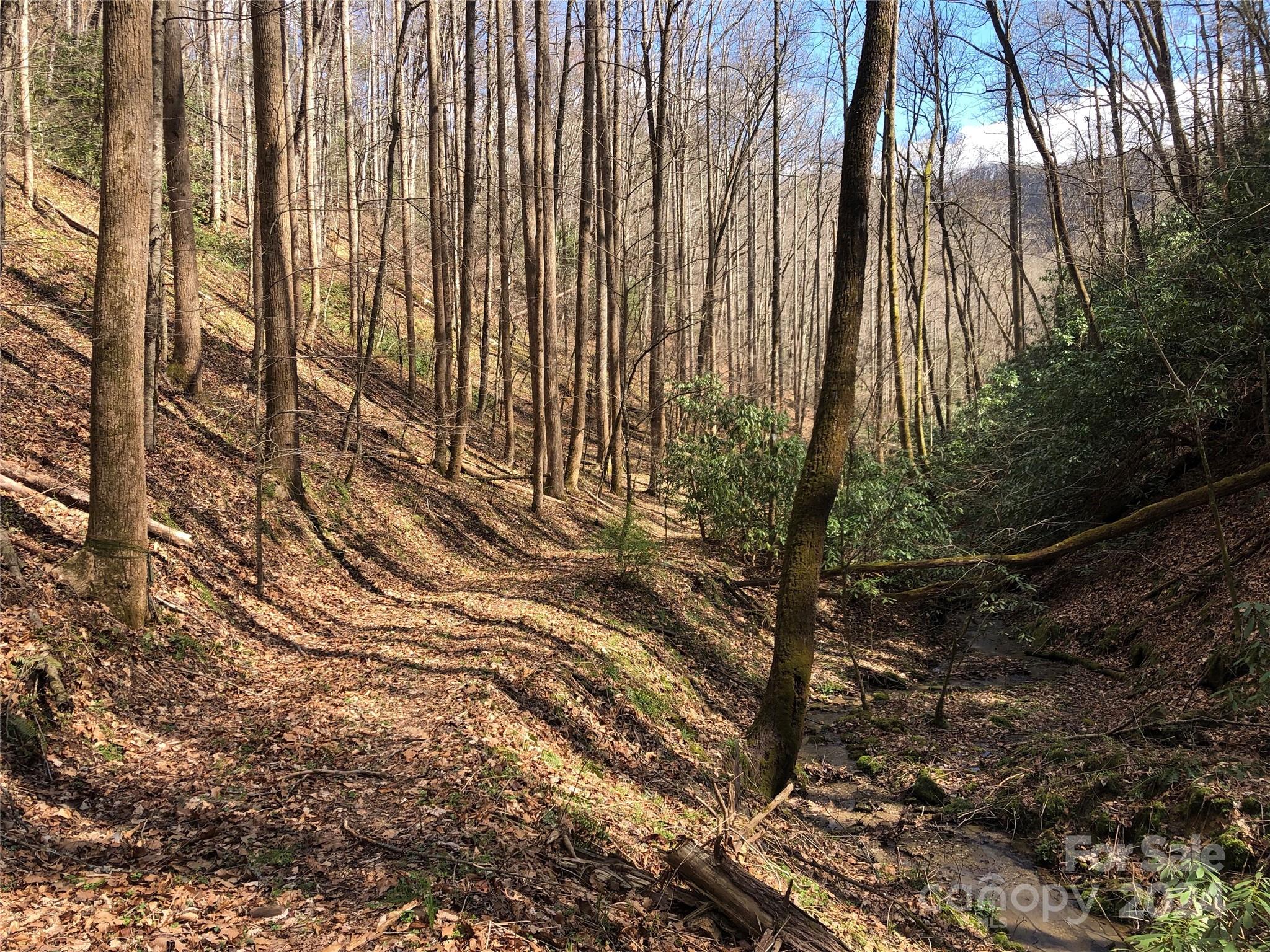 0 Nc Highway 90 E Lenoir NC 28645