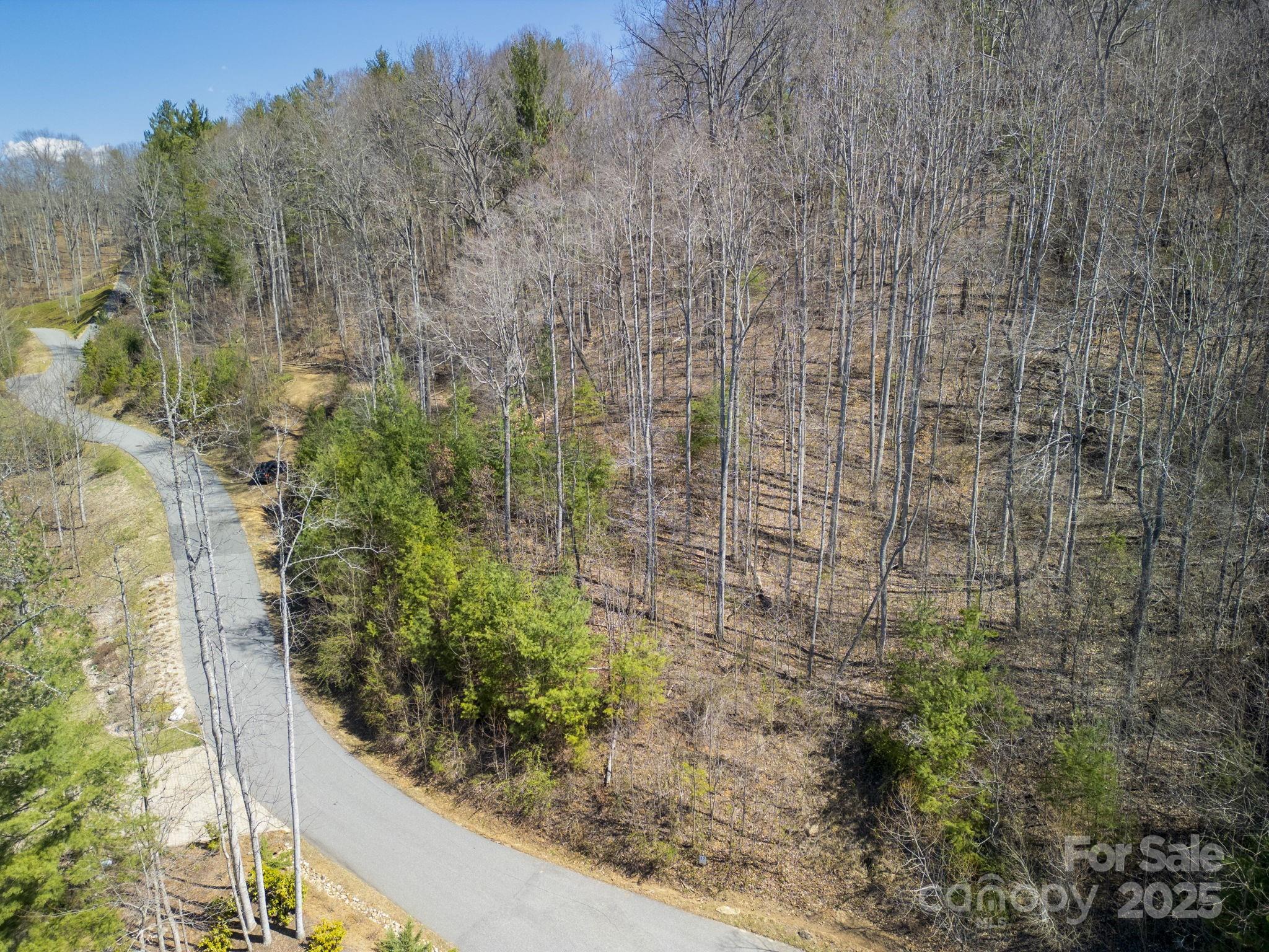 17 Franklin Trace Drive Asheville NC 28804
