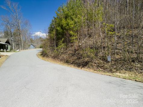 17 Franklin Trace Drive Asheville NC 28804