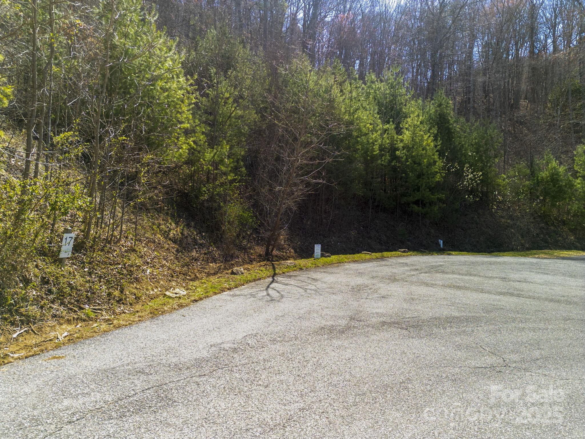 17 Franklin Trace Drive Asheville NC 28804