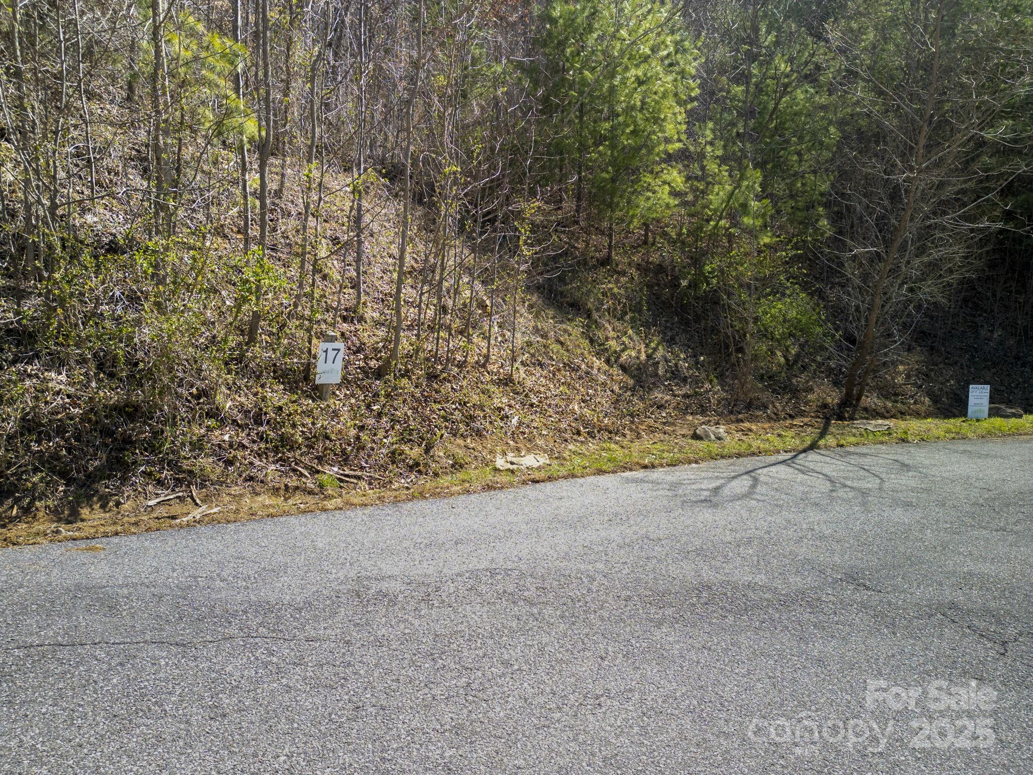 17 Franklin Trace Drive Asheville NC 28804