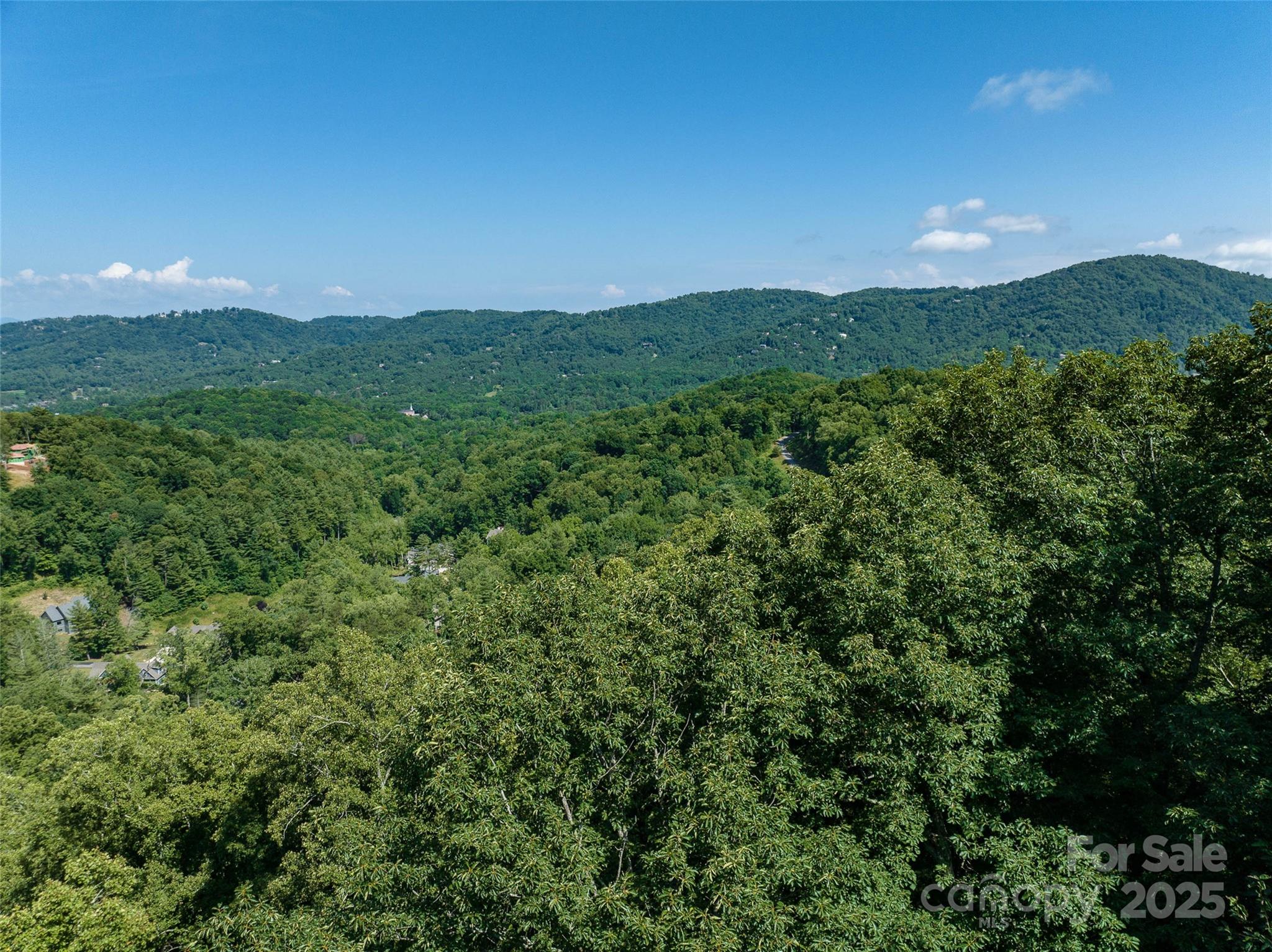 17 Franklin Trace Drive Asheville NC 28804