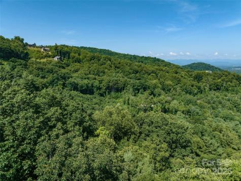 17 Franklin Trace Drive Asheville NC 28804