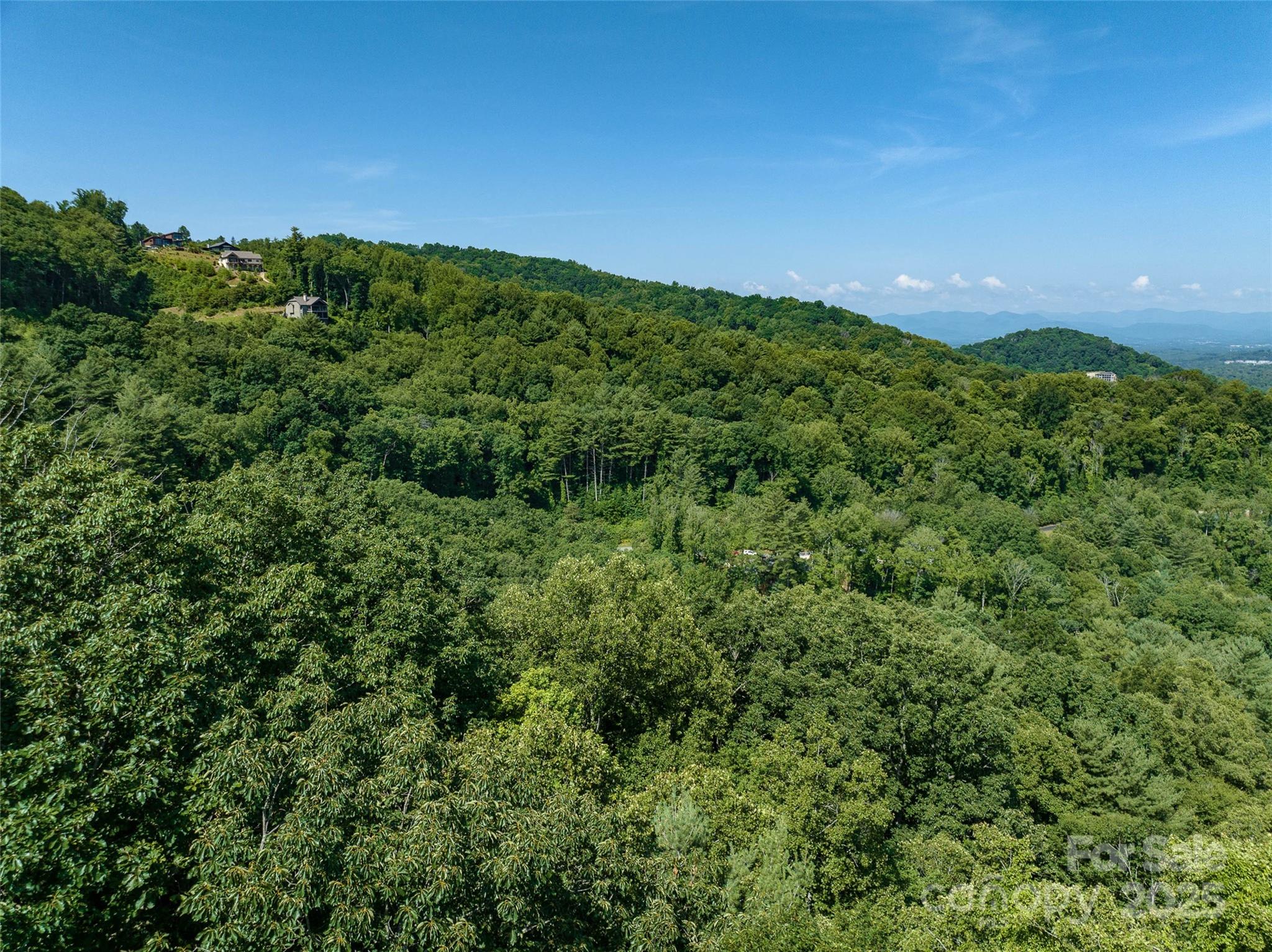 17 Franklin Trace Drive Asheville NC 28804