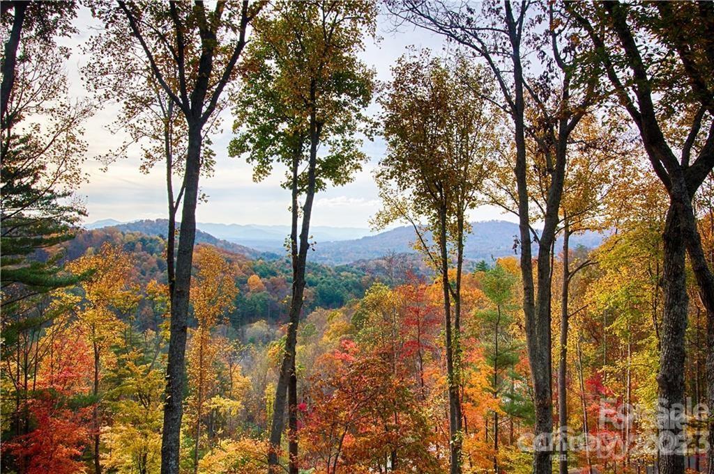 17 Franklin Trace Drive Asheville NC 28804
