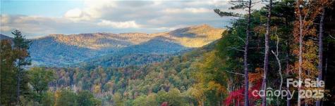 17 Franklin Trace Drive Asheville NC 28804