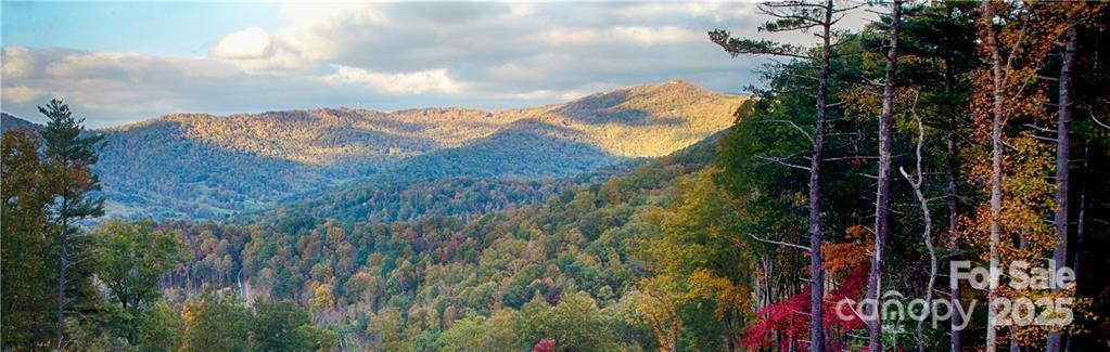 17 Franklin Trace Drive Asheville NC 28804