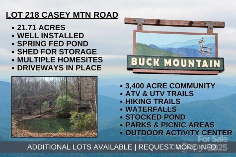 Tbd Casey Mountain Road Purlear NC 28665
