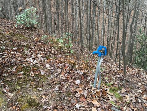 Tbd Casey Mountain Road Purlear NC 28665