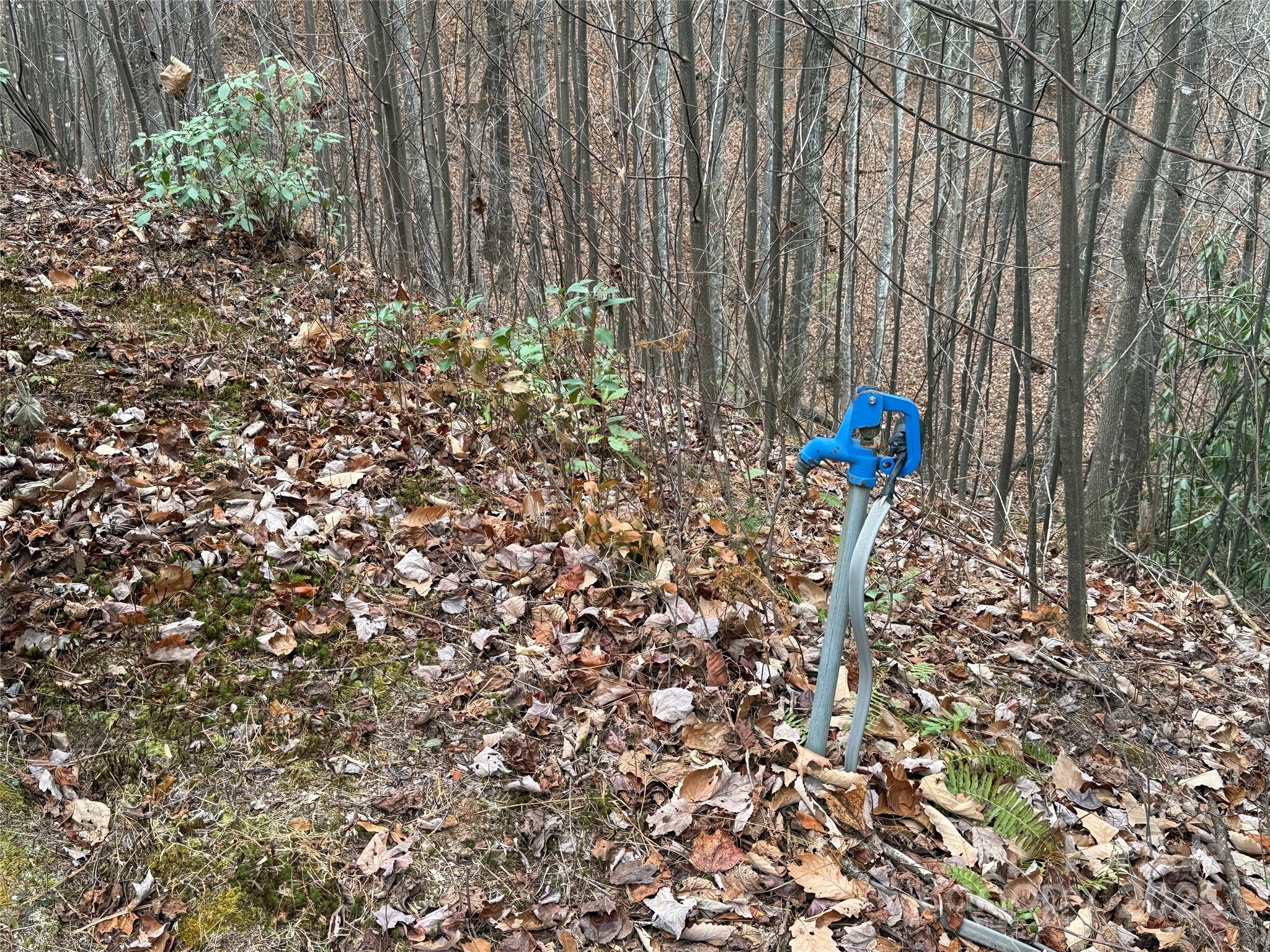 Tbd Casey Mountain Road Purlear NC 28665