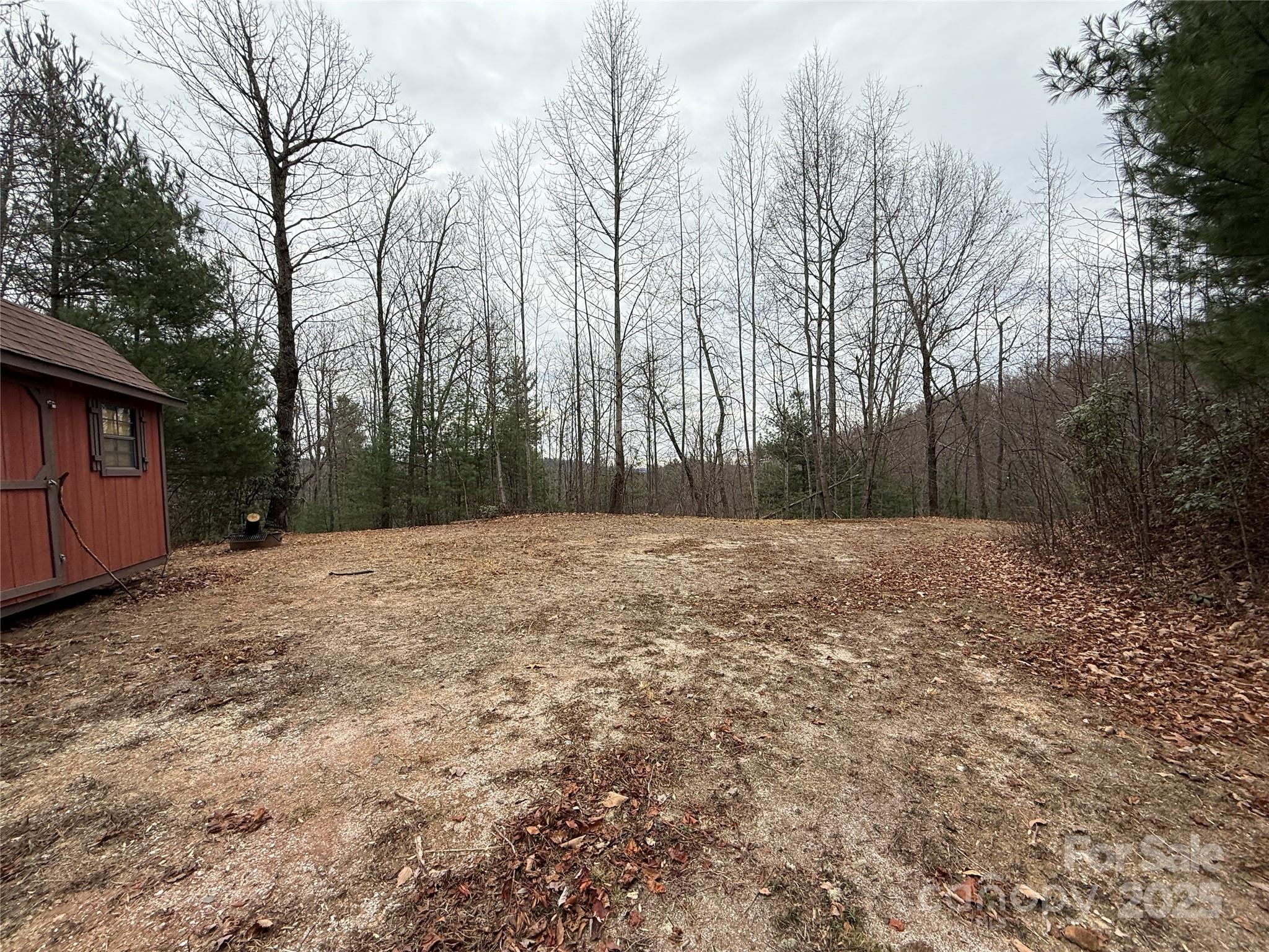 Tbd Casey Mountain Road Purlear NC 28665