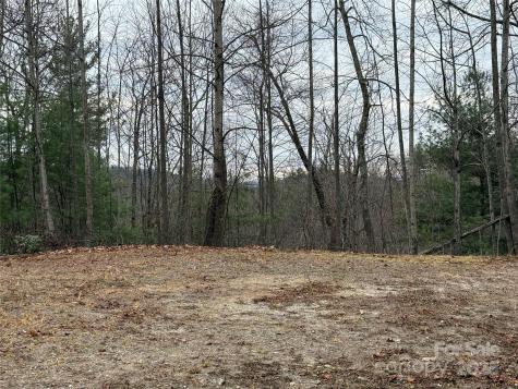 Tbd Casey Mountain Road Purlear NC 28665