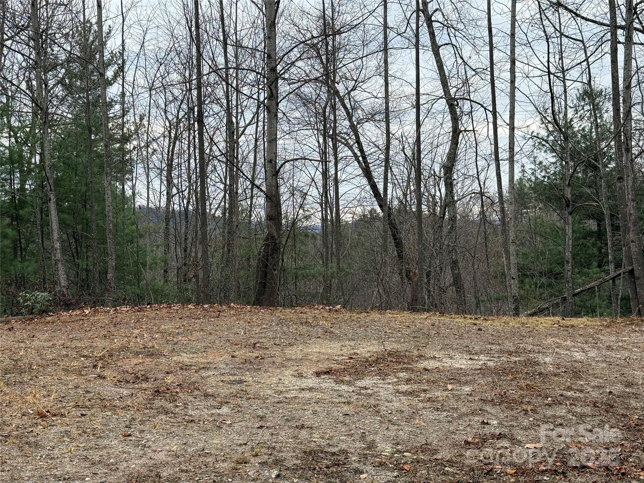 Tbd Casey Mountain Road Purlear NC 28665