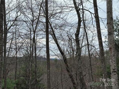Tbd Casey Mountain Road Purlear NC 28665